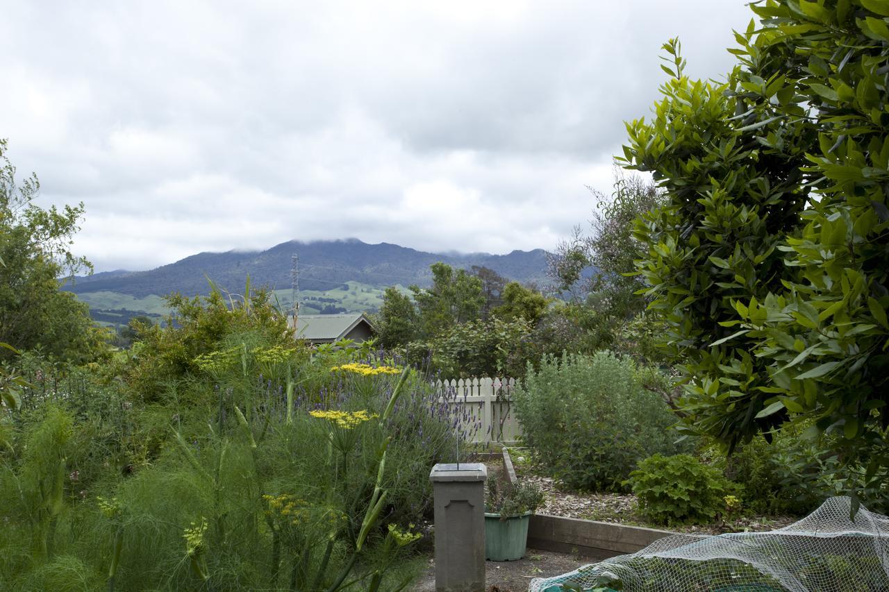 Highgate Bed And Breakfast & Garden Pirongia Exterior photo